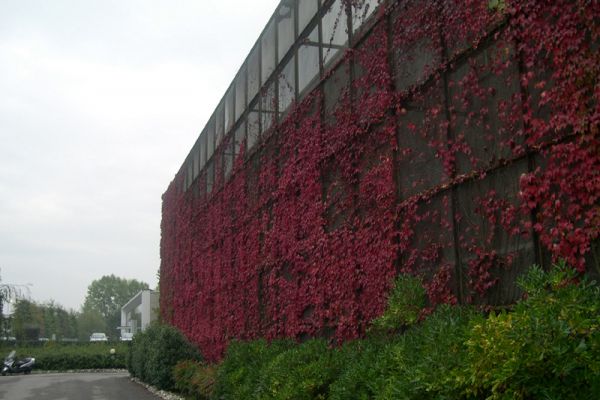 expanded-metal-vertical-garden-facade-03E6966780-EC5D-9390-0C9A-A894F2E85A6B.jpg